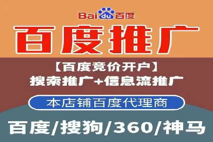 揭秘SEM竞价成功案例，助你提升ROI